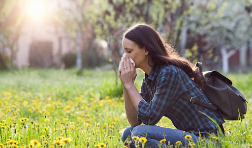 A cosa sono dovute le allergie e come curarle in modo naturale?